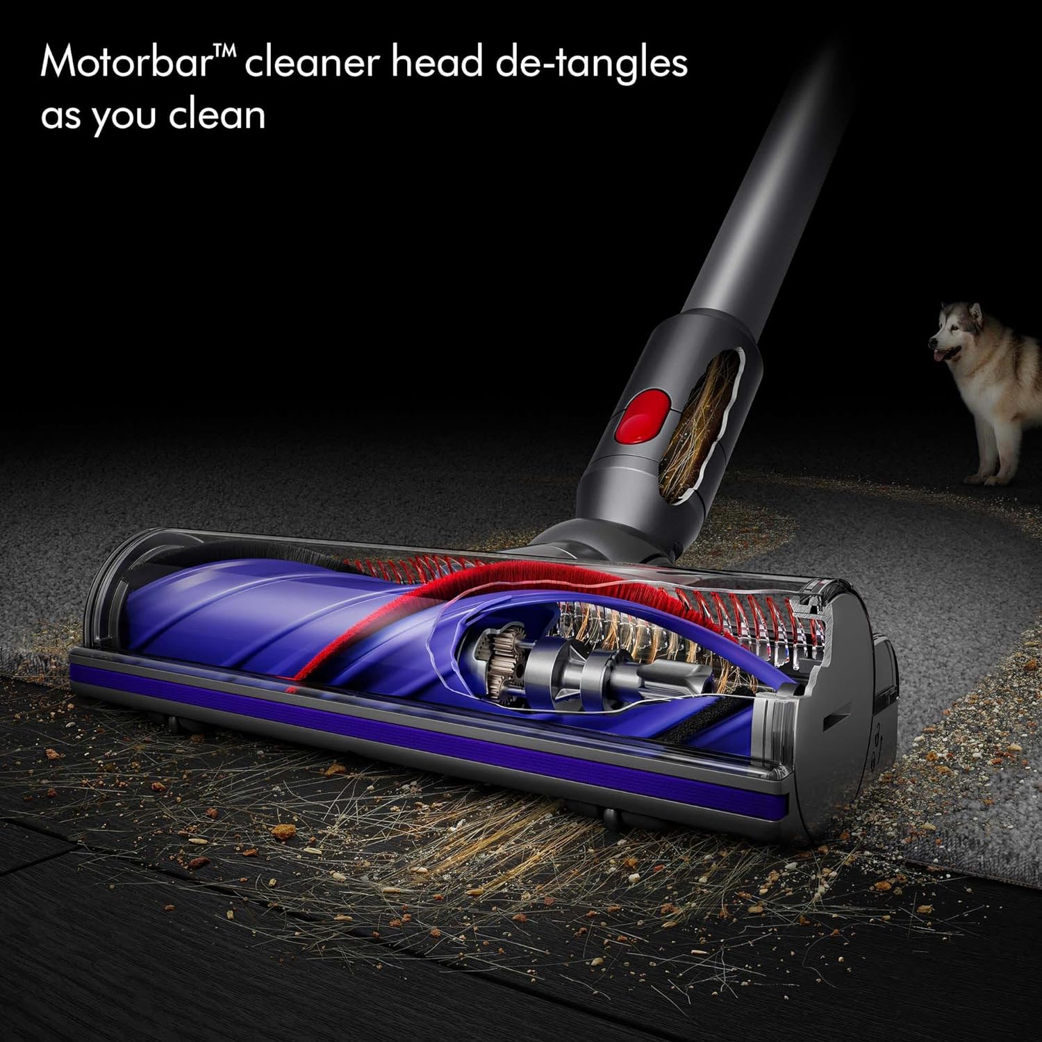 Dyson Cordless Stick Vacuum Cleaner, 0.14 Gallons, Silver/Nickel - V8 SV25 - Image 5