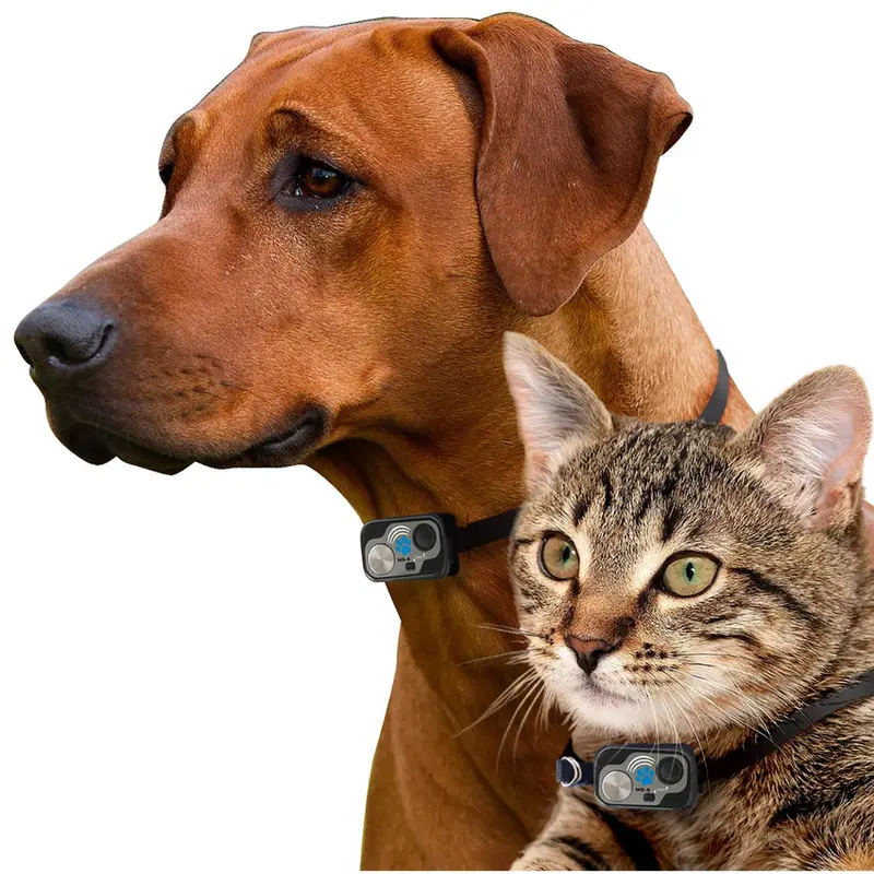 Power Pet Large Electronic Pet Door, RFID-Activated Entry System For Medium To Large Dogs - PX-2 - Image 4