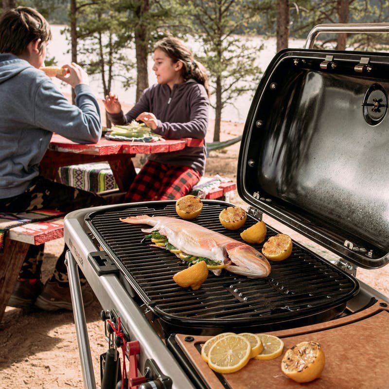 WEBER TRAVELER PORTABLE GAS GRILL - Image 6