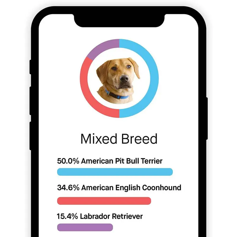 Embark Dog DNA Breed Identification Test Kit With Doggy Relative Finder - Image 7