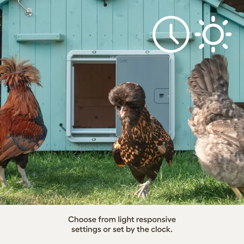 Omlet Smart Automatic Chicken Coop Door Opener - Wi-Fi Enabled - Image 2