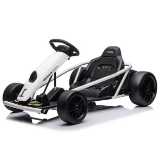 24V Electric Go-Kart for Kids Ages 8-12, Dual 300W Motors, 9Ah Battery