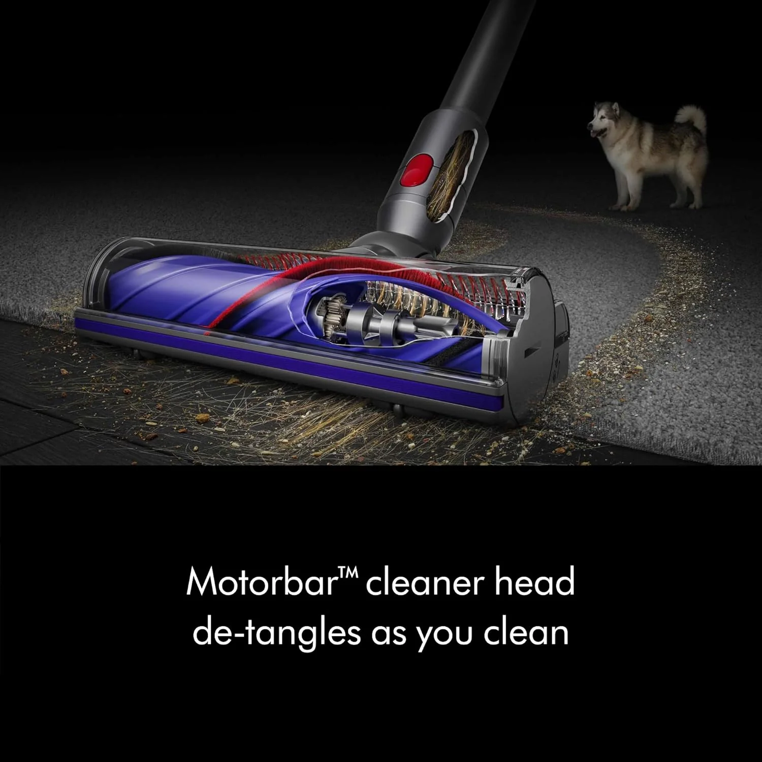 Dyson Cordless Stick Vacuum Cleaner, 0.14 Gallons, Silver/Nickel - V8 SV25 - Image 22