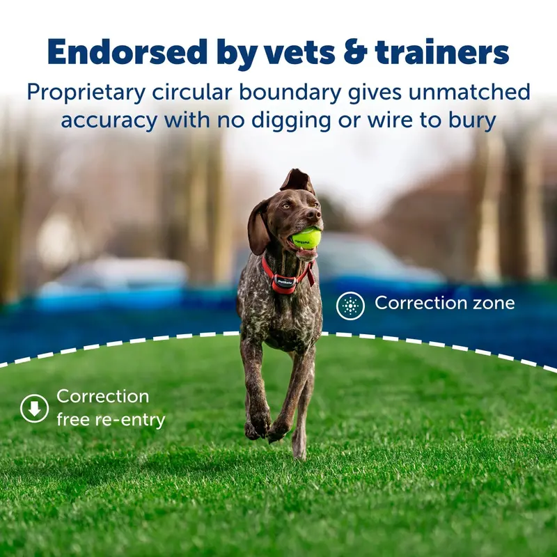 PetSafe Stay & Play Wireless Pet Fence For Stubborn Dogs - Adjustable, Portable, Rechargeable Collar, 3/4 Acre - Image 6
