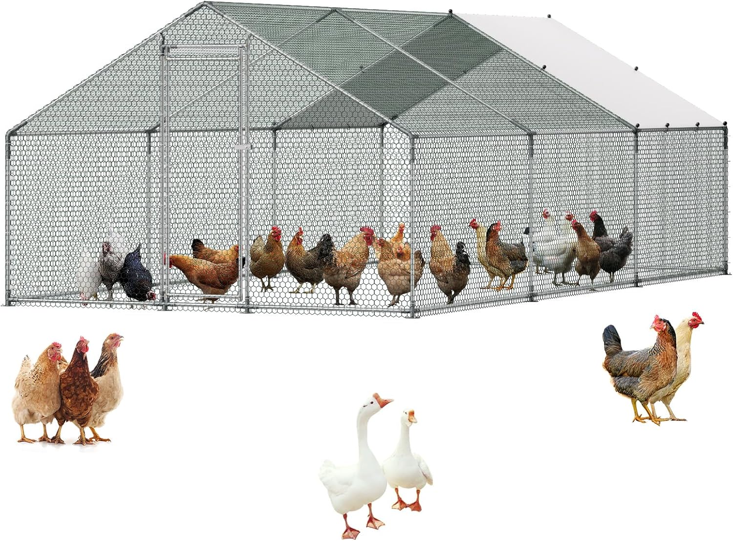 VEVOR Walk-In Metal Chicken Coop With Cover, 19.7 x 9.8 x 6.5 ft, Spire Roof And Security Lock