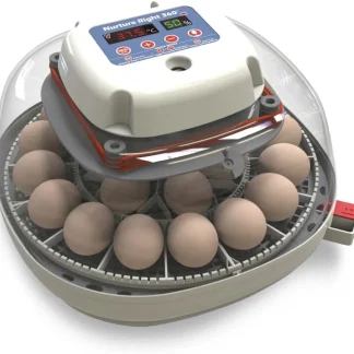 Nurture Right Egg Incubator For Hatching Chicks, Holds 12-22 Eggs - Automatic Turner
