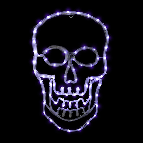 18" Lighted Skull with 4 Function Controller Window Silhouette Halloween Decoration