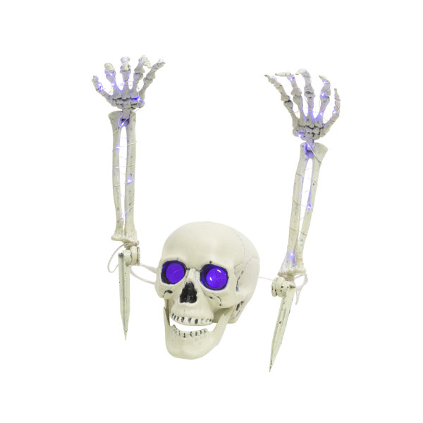 Set of 3 Battery Operated Lighted Skull & Skeleton Hands